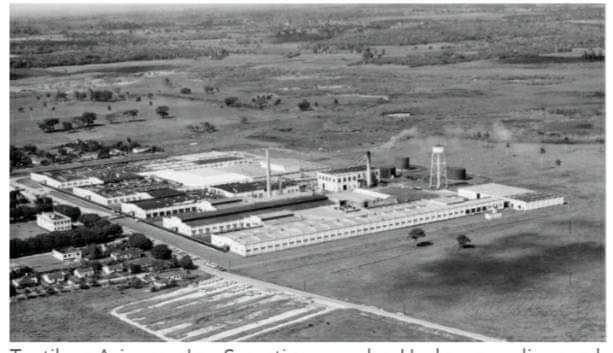 La Textilera de Ariguanabo, la joya del emporio empresarial de Dayton Hedges en Cuba, era la más grande entre las industrias no azucareraa en la Isla